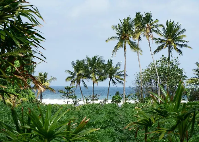 Puri Angsa Saba